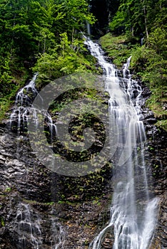 Panorama of high picturesque waterfall in lush green forest landscape