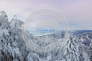 Panorama of High Tatras Mountains