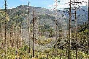 Panorama of the High Tatras Mountains, Slovakia