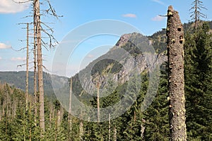 Panorama of the High Tatras Mountains, Slovakia