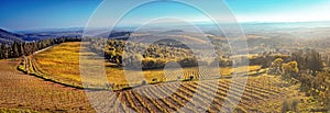 Panorama of the hills of Tuscany at sunset