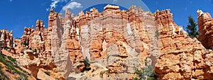 Panorama of hoodoos, Bryce Canyon