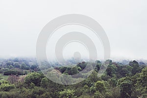 Panorama horizon view of scenery foggy hills Northern Spain forest. Sunset in the mountain natural autumn landscape park. Green