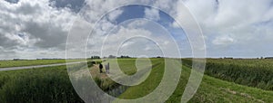 Panorama from horses next to the Slachtedyke