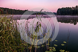 Panorama on huge lake or river with reflexion in morning with beautiful awesome pink sunrise