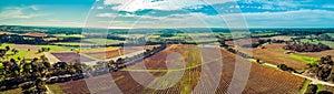 Panorama of huge vineyard and rural landscape. photo