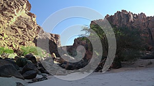 Panorama inside canyon aka Guelta d`Archei in East Ennedi, Chad