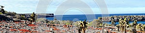 Panorama of the Islas Plaza in the Galapagos photo