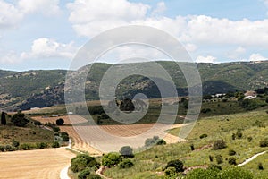 Panorama of the Jezreel Valley landscape, viewed from Mount Precipice. Northern Israel