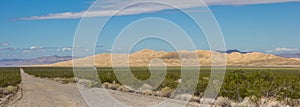 Panorama of Kelso sand dunes in the Mojave National Preserve