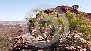 Panorama of Kings Canyon