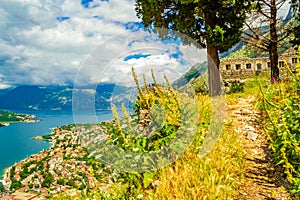 Panorama of Kotor bay from trail to Old Medieval fortifications Montenegro
