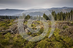 Panorama of The Krkonose Mts. photo