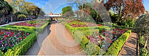 Panorama of Kyoto garden with blooming tulips in Holand park