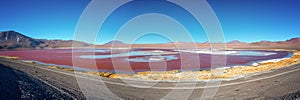 Panorama of Laguna Colorada, salt lake in Sur Lipez province, Potosi, Bolivia photo