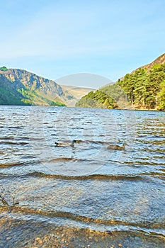 Panorama of Lake Lough Tay or The Guinness Lake. County Wicklow, Wicklow Mountains National Park, Ireland.