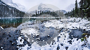 Panorama of Lake O`hara with wooden hut in snow pine forest with canadian rockies on winter at Yoho national park