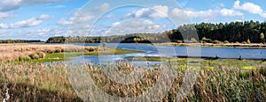 Panorama of lake, peat bog, moorgrass and reed in national park Dwingelderverld, Drenthe, Netherlands