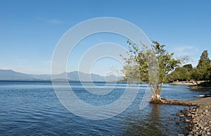 Panorama of Lake Ranco, the third largest lake in Chile. In the region of Los Rios, in Araucania or Patagonia, Chilean Andes.