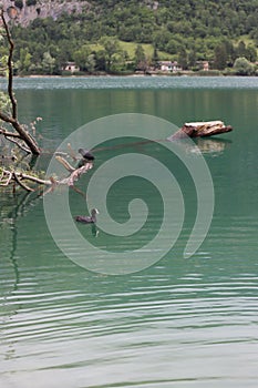 Panorama of the lake of Scanno, in Abruzzo, Italy