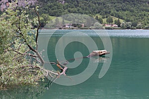 Panorama of the lake of Scanno, in Abruzzo, Italy photo
