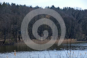 Panorama of Lake in Spring in the Forest of the Neighborhood Grunewald, Berlin photo