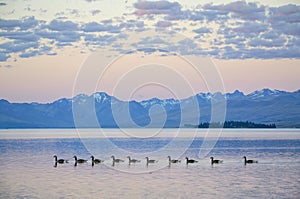 Panorama of lake Tekapo, New Zealand