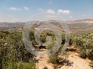 Panorama land around Sebastia in Samaria, Israel. Olive trees an photo