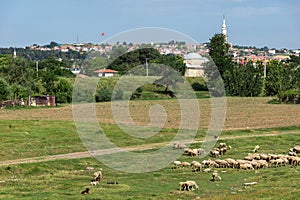 Panorama of land near city of Edirne,  East Thrace, Turkey