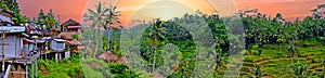 Panorama from a landscape on Bali Indonesia at sunset photo