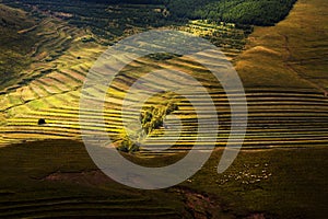 A panorama landscape on Bashang grassland, Hebei province, China