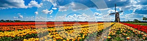Panorama of landscape with blooming colorful tulip field, traditional dutch windmill and blue cloudy sky in Netherlands Holland ,