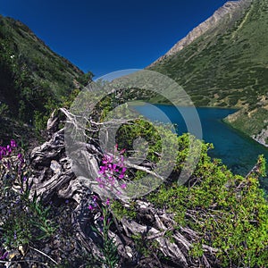 Panorama landscape with blue lake in mountains in summer. Koksai Ainakol Lake in Tien Shan Mountains in Asia in