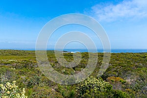 Panorama landscape of green bushland and ocean on the horizon