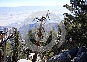 Panorama Landscape at Mount San Jacinto and the Coachella Valley, California