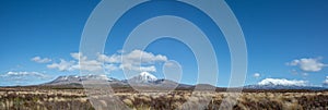 Panorama Landscape Tongariro National Park, New Zealand