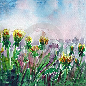 Panorama landscape of yellow dandelions and green grass. Blue and red sun set sky. Summer or spring. Hand drawn watercolor botanic