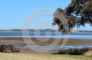 Panorama of Leschenault Estuary Bunbury West Aust