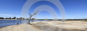 Panorama of Leschenault Estuary Western Australia