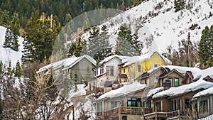 Panorama Lush coniferous trees and houses on a snowy mountain against gray sky in winter