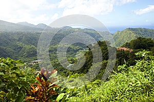 Panorama of lush Dominica Caribbean