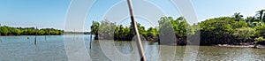 Panorama of mangrove trees growing by the riverside in a blue river, Ngwesaung, Myanmar