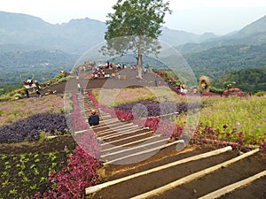 Panorama of Manulalu Bajawa Peak photo