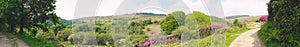 Panorama of Margam Country Park