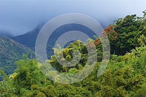 Panorama of Martinique, Caribbean