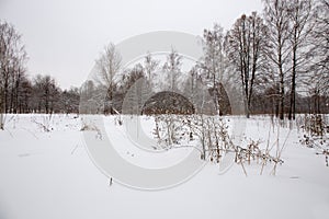 Panorama meadows with snow passes on the edge of the forest.