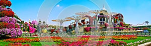 Panorama of Miracle Garden with its scenic sites, Dubai, UAE