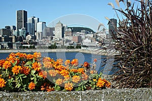 Panorama of Montreal (Canada) from Habitat 67