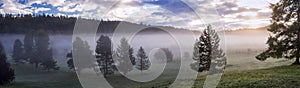 Panorama of a morning fog in a field