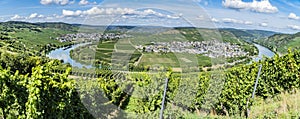 Panorama from moselle valley